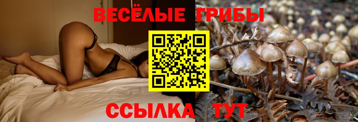 Галлюциногенные грибы Psilocybine cubensis  Галлюциногенные грибы GOLDEN TEACHER  Вход с VPN  Кудымкар 